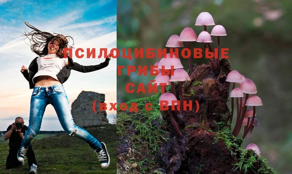 трава Медвежьегорск
