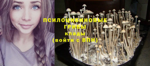 PSILOCYBIN Белоозёрский