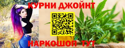 spice Гусев