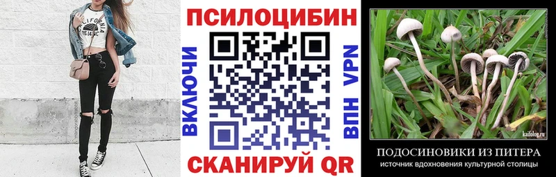 Псилоцибиновые грибы Magic Shrooms  Ульяновск 