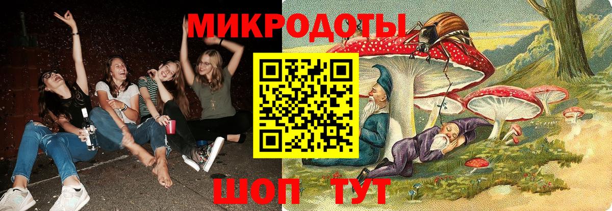 Псилоцибиновые грибы Psilocybine cubensis Ульяновск